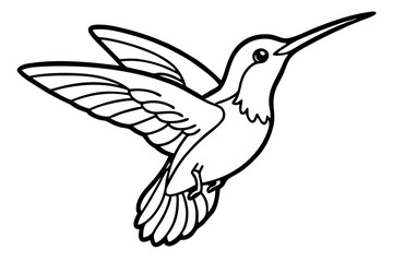 hummingbird silhouette line art vector illustration
