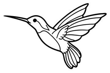 hummingbird silhouette line art vector illustration