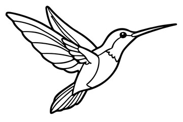 hummingbird silhouette line art vector illustration