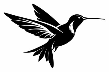 hummingbird silhouette line art vector illustration