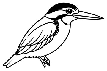 kingfisher silhouette line art vector illustration