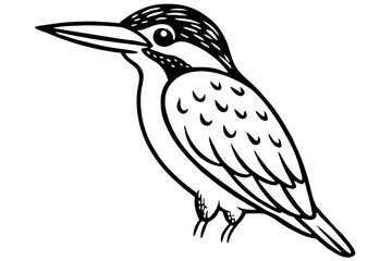 kingfisher silhouette line art vector illustration