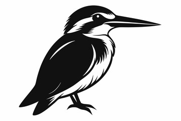 kingfisher silhouette line art vector illustration