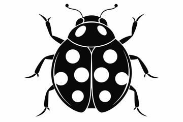 ladybug silhouette line art vector illustration © kanchanrani