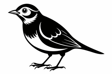 Fototapeta premium lark silhouette line art vector illustration