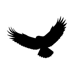 Obraz premium Complete Collection of Animal Silhouette type 21