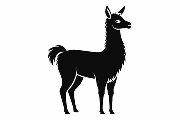 llama silhouette line art vector illustration