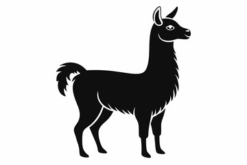 llama silhouette line art vector illustration