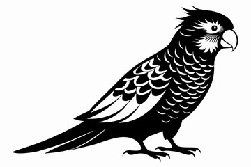 Fototapeta premium lorikeet silhouette line art vector illustration