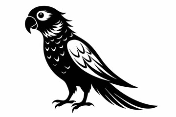 lorikeet silhouette line art vector illustration