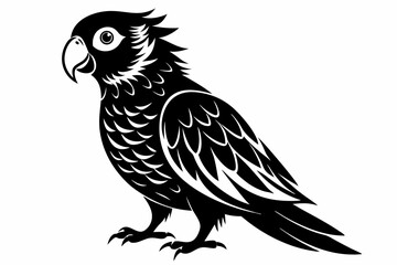 lorikeet silhouette line art vector illustration