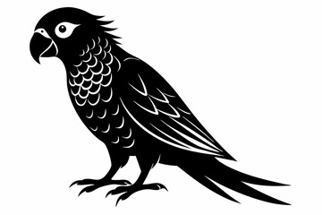 lorikeet silhouette line art vector illustration