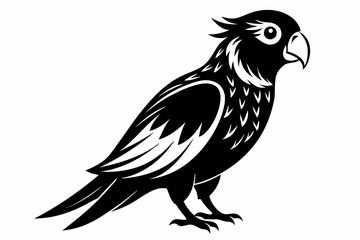 lorikeet silhouette line art vector illustration