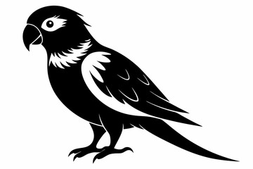 lorikeet silhouette line art vector illustration