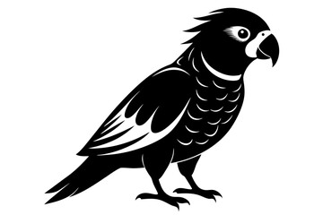lorikeet silhouette line art vector illustration