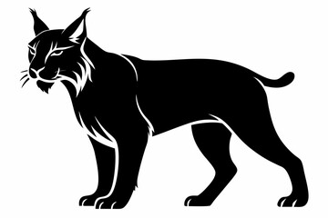 lynx silhouette line art vector illustration