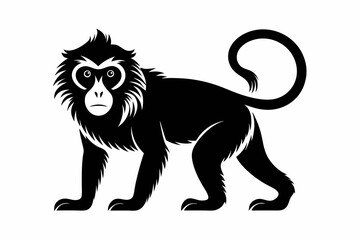 macaque silhouette line art vector illustration
