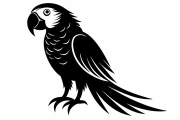 macaw silhouette line art vector illustration