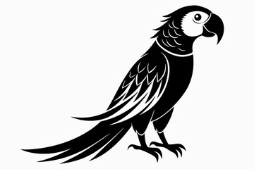 macaw silhouette line art vector illustration