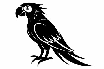 macaw silhouette line art vector illustration