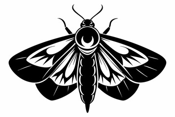 moth silhouette line art vector illustration