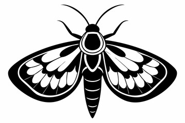 moth silhouette line art vector illustration