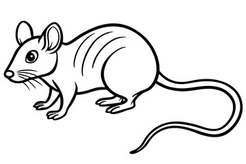 mouse silhouette line art vector illustration