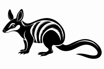 numbat silhouette line art vector illustration