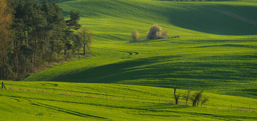 Obraz premium Beautiful spring fields in the Oder river valley in Brandenburg, Germany