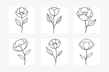 Poppy Flower Set Line Art Vector Illustration.