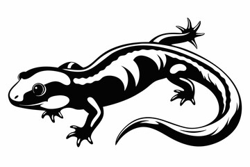 salamander silhouette line art vector illustration
