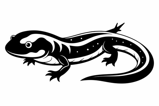 black and white salamander graphic clip art preview