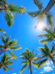 Palm Trees and Clear Blue Sky from Below – Summer Vibes