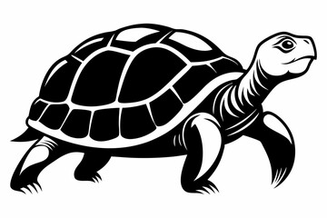 tortoise silhouette line art vector illustration