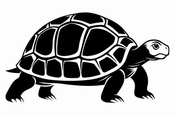tortoise silhouette line art vector illustration
