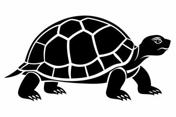 tortoise silhouette line art vector illustration
