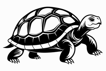 tortoise silhouette line art vector illustration