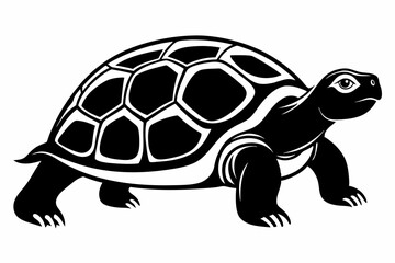 tortoise silhouette line art vector illustration