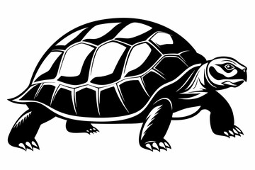 tortoise silhouette line art vector illustration