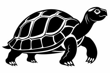 tortoise silhouette line art vector illustration