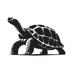 Patient Galápagos Tortoise silhouette, thriving in stillness – Galápagos Tortoise illustration – Galápagos Tortoise vector – Reptile silhouette

