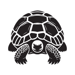 Mighty Galápagos Tortoise silhouette, a walking fossil of evolution – Galápagos Tortoise illustration – Galápagos Tortoise vector – Reptile silhouette

