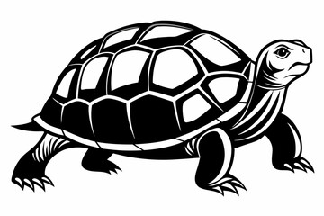 turtle silhouette line art vector illustration