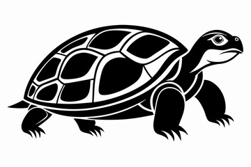 turtle silhouette line art vector illustration