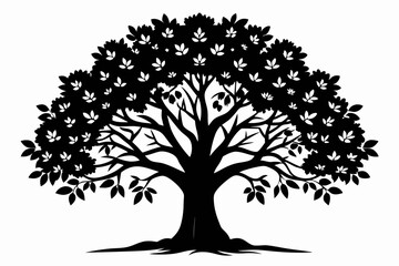 walnut tree silhouette line art vector illustration