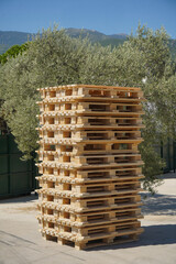 Large pile of wooden pallets outdoors at the factory loading dock.