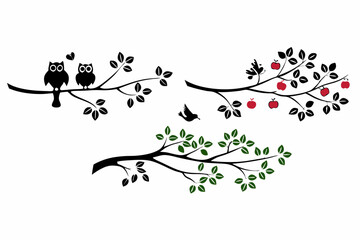 birds on branch