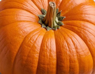 Close-up of a vibrant orange pumpkin with a textured surface and a sturdy stem.