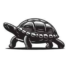 Aquatic Red-Eared Slider silhouette, gliding through freshwaters – Red-Eared Slider illustration – minimalist Red-Eared Slider vector – Reptile silhouette

