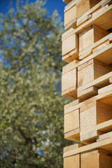 Stacked Wooden Pallets in an Outdoor Environment Highlighting Natural Textures